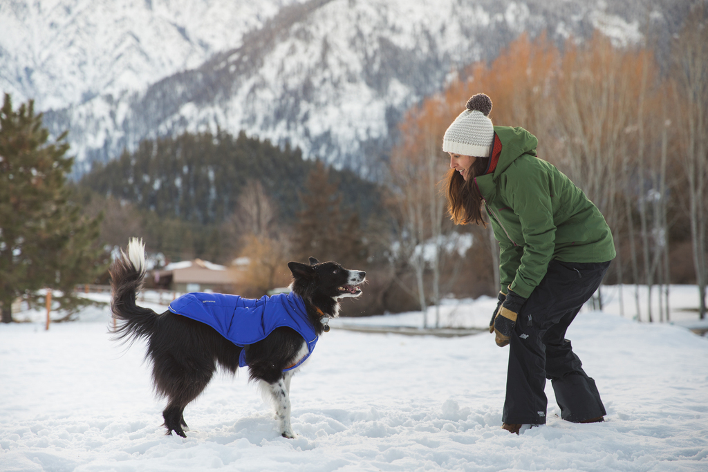 Ruffwear Quinzee Winterjas Huckleberry Blue ActieveHonden